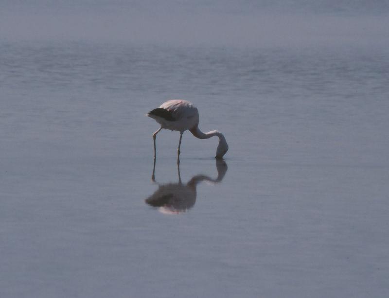 228_Salar de Atacama 